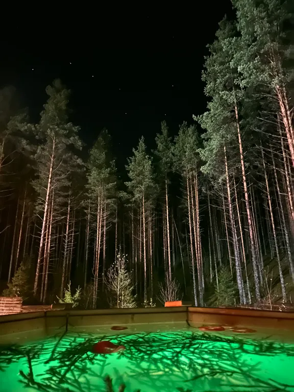 Домик в лесу с потрясающим видом из окна с банным комплексом