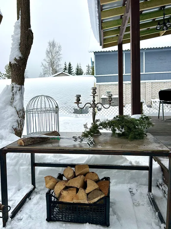 Семейный дом с камином Птичка