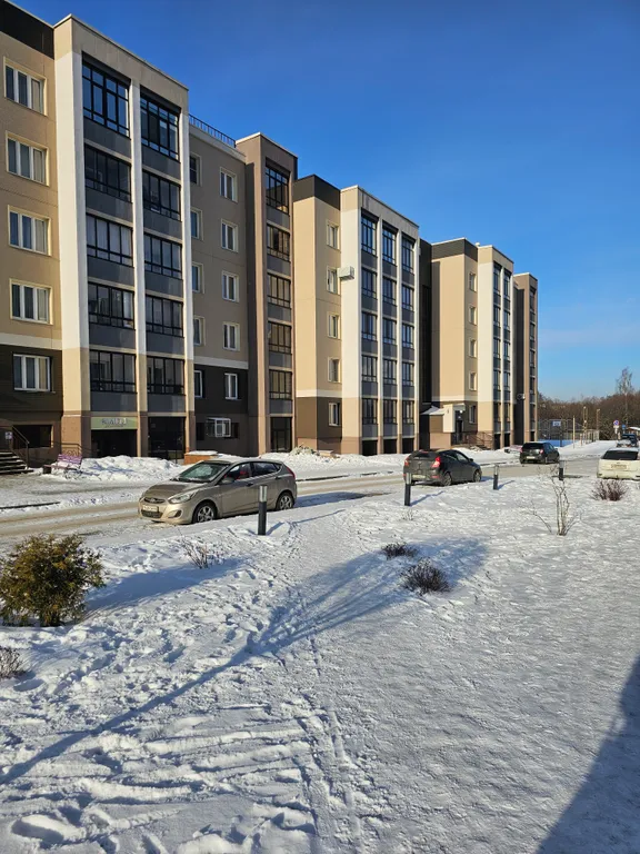 Уютная квартира в доме с картинной галереей