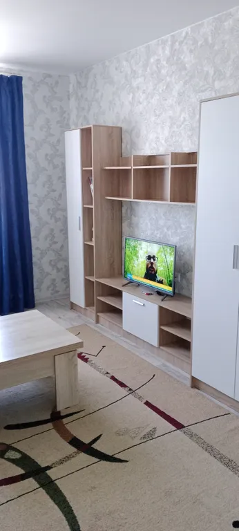 Уютная однокомнатная квартира — аренда посуточно в Воронеж