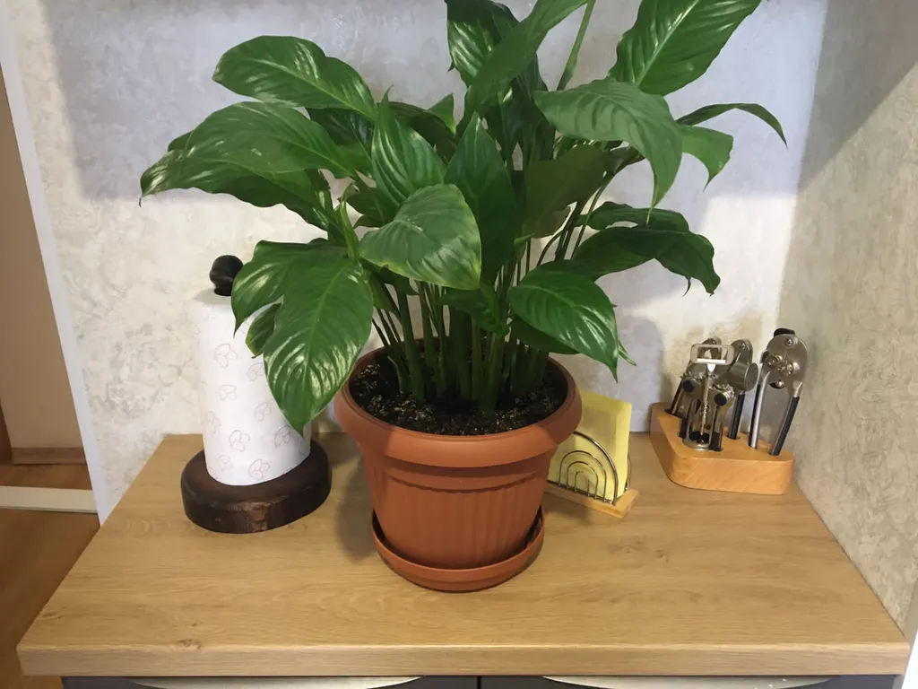 Уютная и чистая квартира