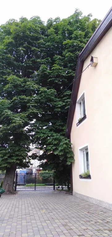 Квартира Уютная квартира в центре города — Калининград