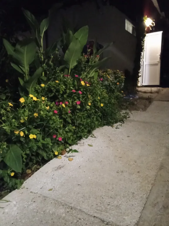 Коттедж Коттедж MoreHaus — Сочи