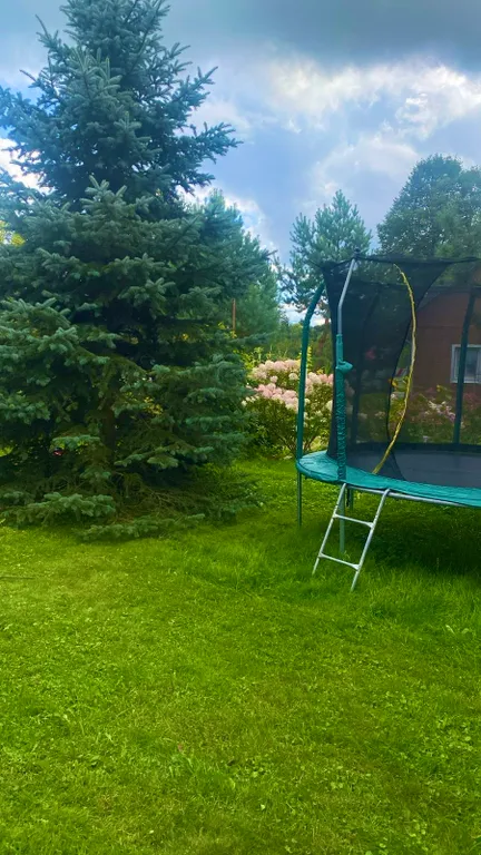 Дача художника с русской баней