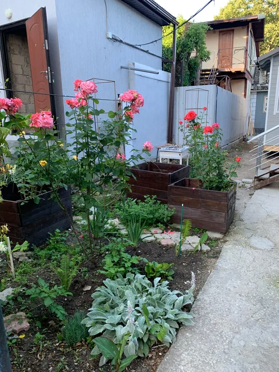 Уютный деревянный дом