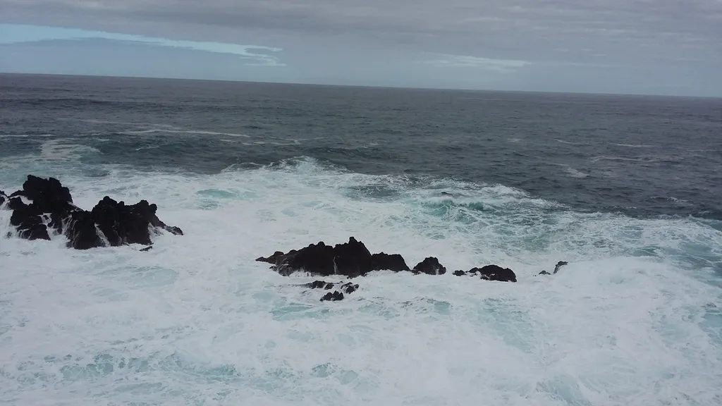 Квартира Уютная 2-комнатная квартира — Светлогорск