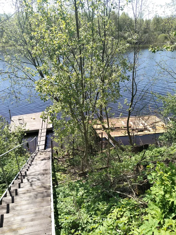 Домик в глуши