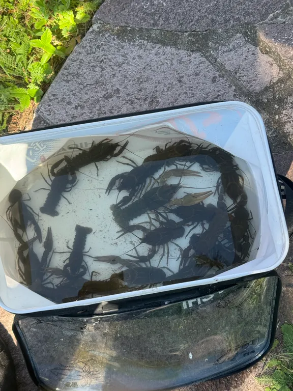 База отдыха на озере Шамсудин