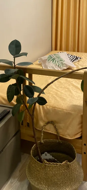 У леса, с ремонтом и 2 кроватями Переезжайте с одним чемоданом!