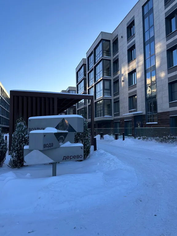 Студия на Новый Год в Курортном районе