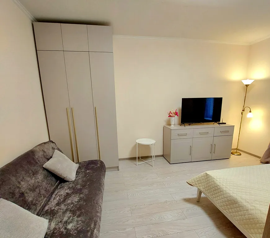 Квартира 1-комнатная Квартира — Светлогорск