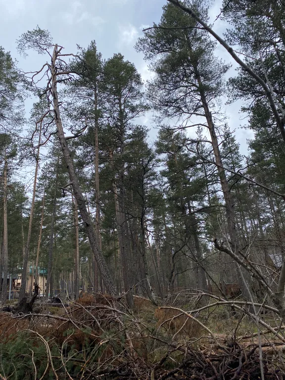 А-Frame домик с видом на гору Чегет