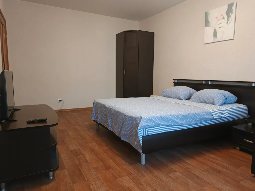 Просторная квартира на Московском проспекте с кондиционером