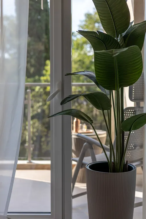 Апартаменты Светлана-Парк премиум на берегу моря