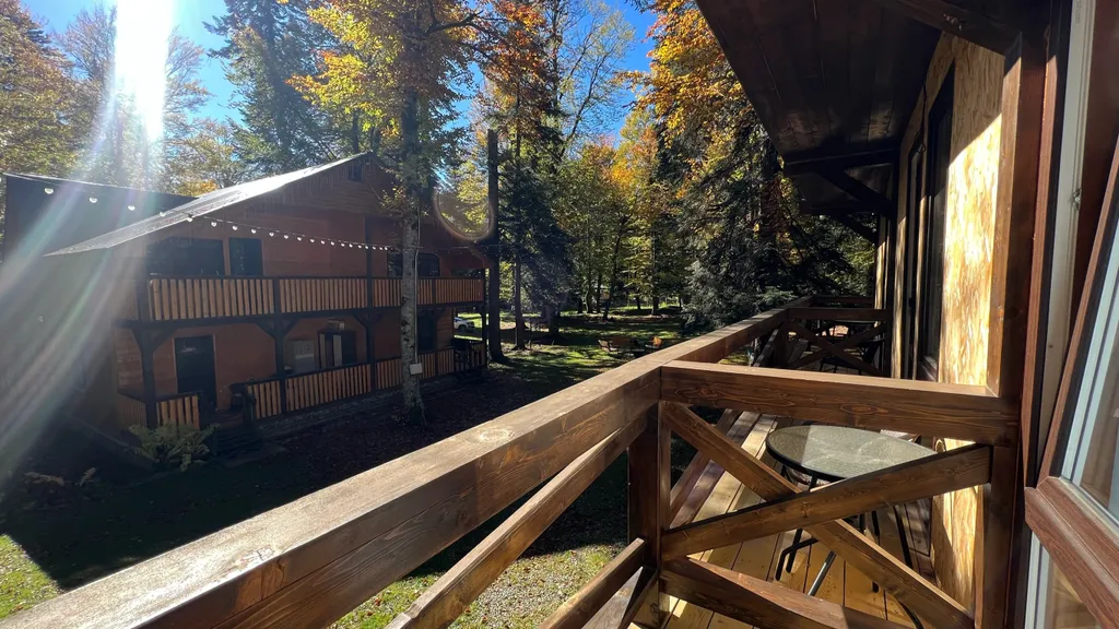 Уютный коттедж на большую компанию в лесу