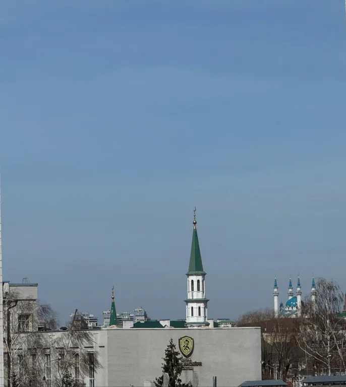 Уютные апартаменты Ак Барс  в центре Казани