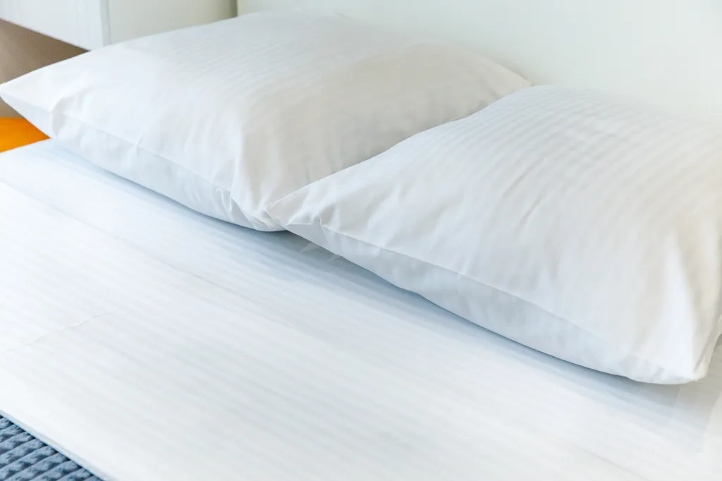 Апартаменты цвета индиго с видом на Суру