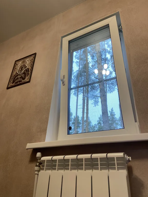 Дом в черте города в сосновом лесу