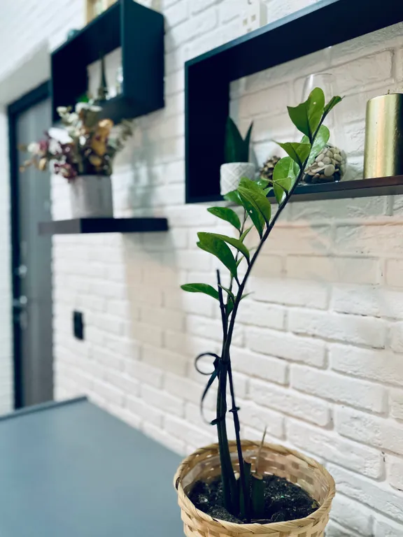 Стильная квартира для отдыха