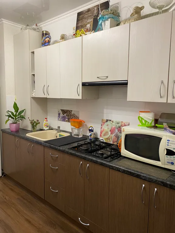 Квартира Апартаменты с видом на озеро — Светлогорск