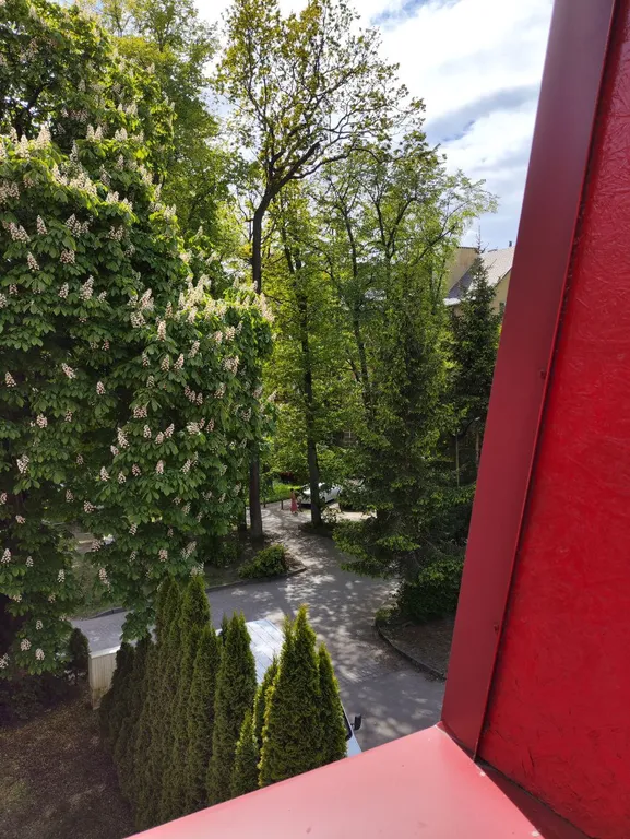 Квартира Уютные апартаменты в центре города — Светлогорск