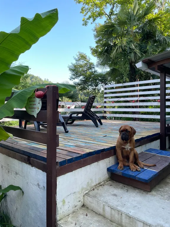 Коттедж 1-комнатный Дом — Сочи