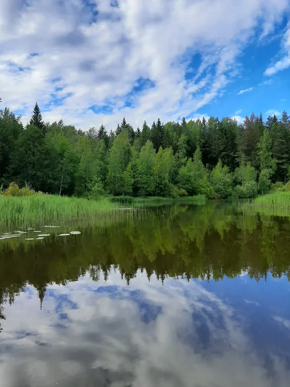 Уютный домик у реки