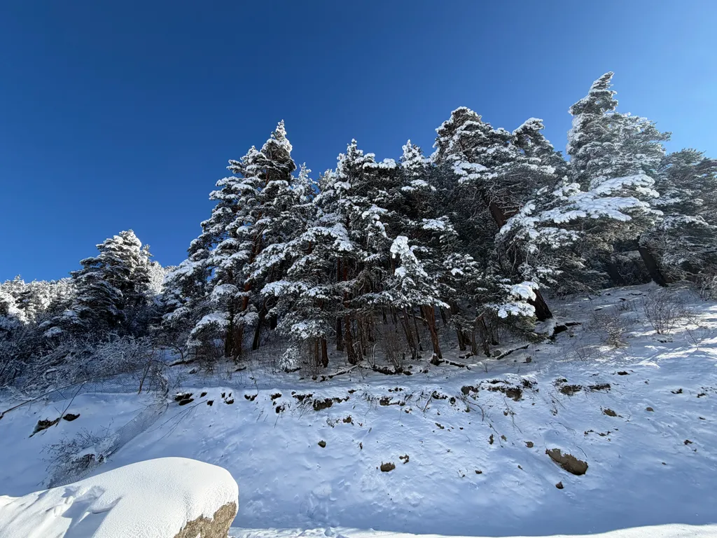 Уютные домики с видом на горы SAFAR