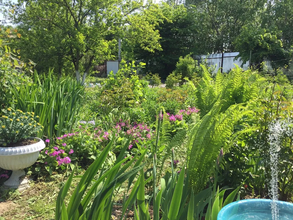 Дача бюджетная