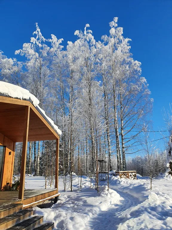 Коттедж Новый коттедж. Сауна и виды на природу-бесплатно — Санкт-Петербург