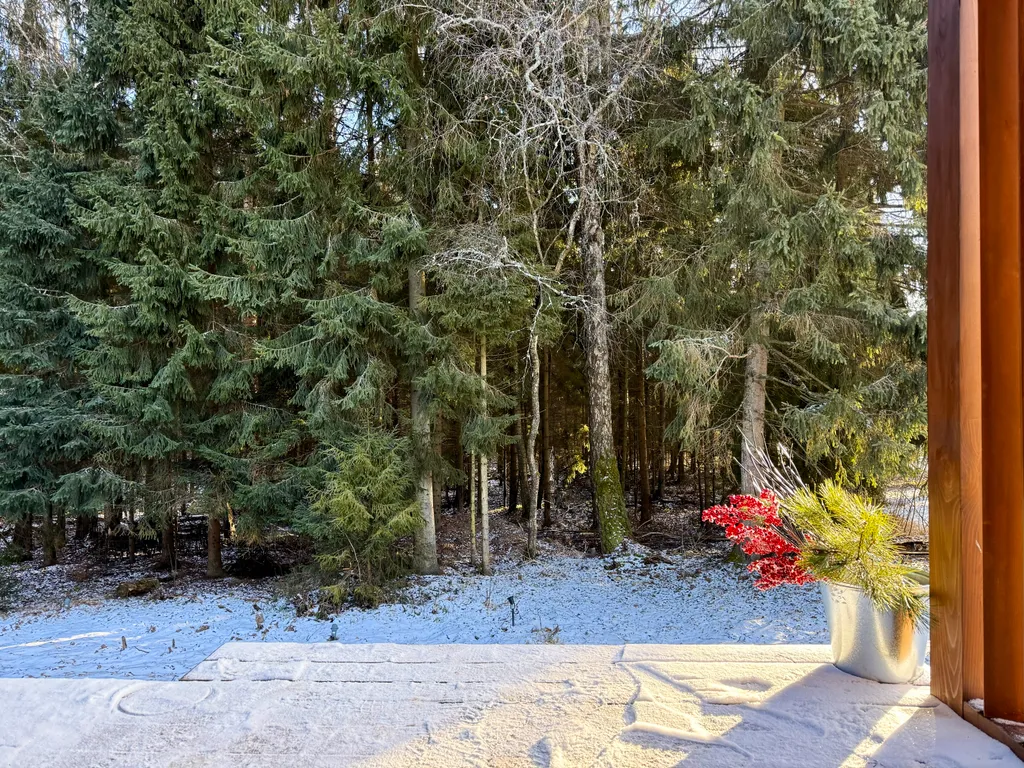 Семейный Дом (с баней) - Елочки