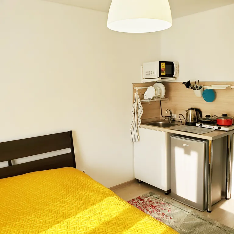 Уютная студия Лето в ЖК Факел