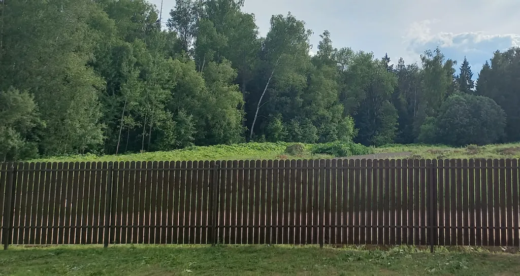 Дом с сауной на краю леса