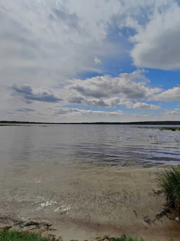 Дом с сауной рядом с лесом и озером