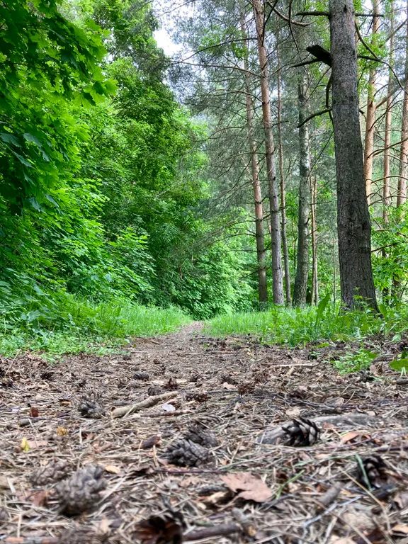 Коттедж Коттедж Новый барнхаус с баней — Манюхино