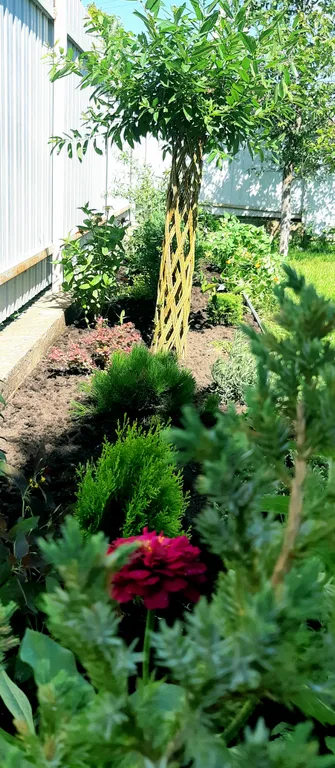 Уютный домик