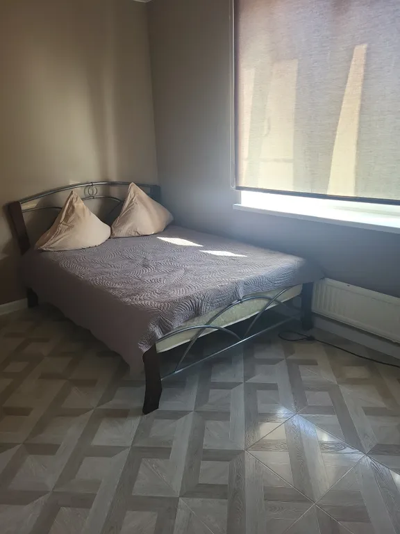 Дом с камином, зоной барбекю, батутом