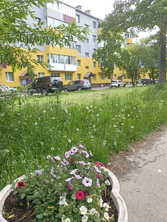 Уютная квартира