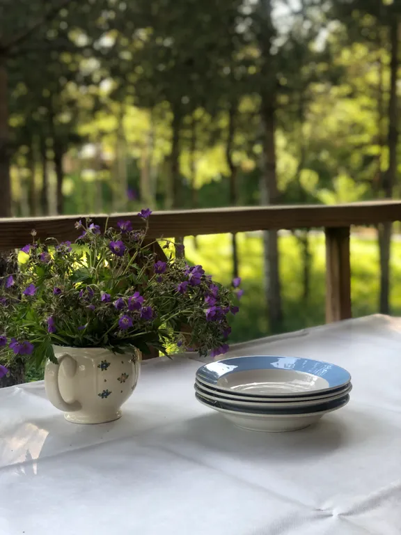 Коттедж Просторная дача рядом с лесом — Первомайское