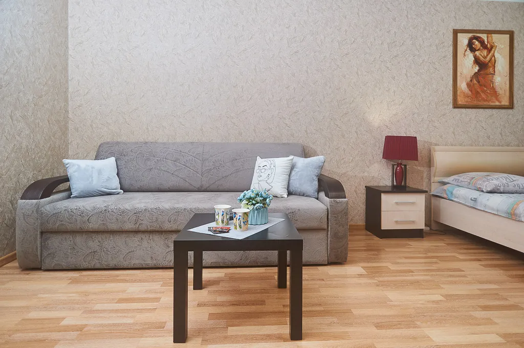 Просторная квартира в центре