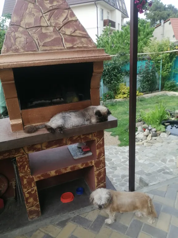 Квартира Комната — Геленджик