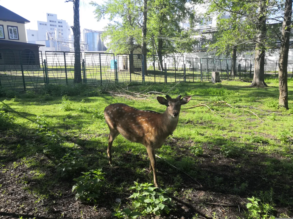 -2х комнатная квартира Business Apart Lux