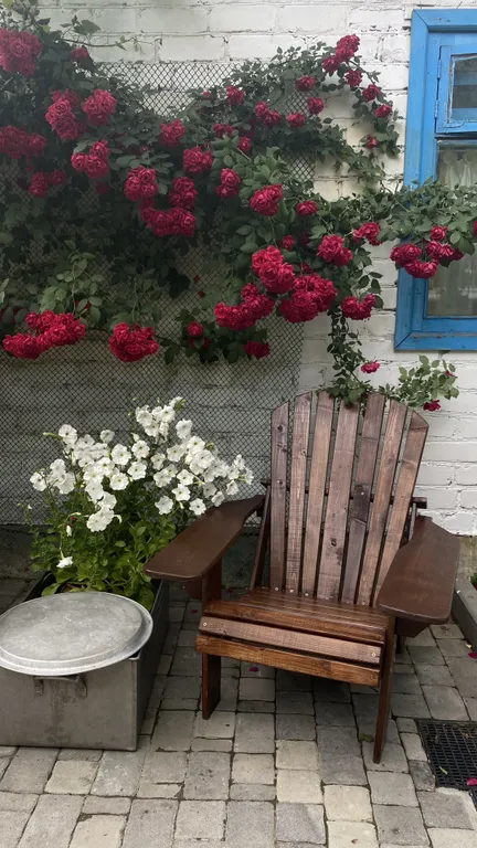 Под сенью дуба