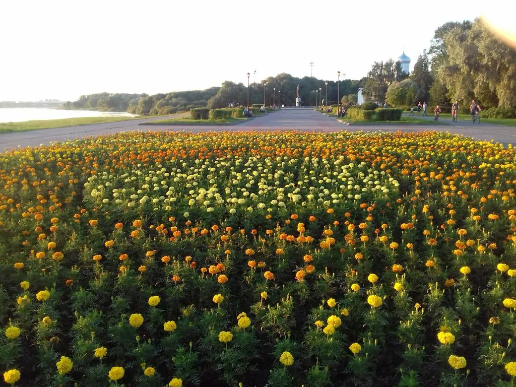 Квартира Очень уютная квартира на новой красивой набережной у Кремля без залога — Великий Новгород