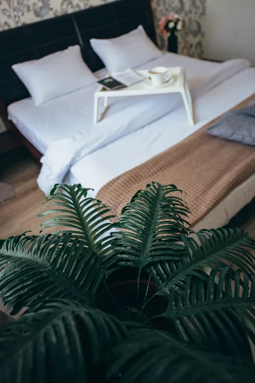 Квартира Квартира Двухкомнатная с видом на Кафедральный Собор — Калининград