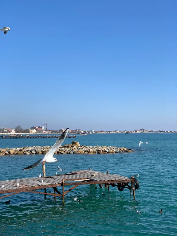 Коттедж Дом у моря с песчаным пляжем и лебедями — Евпатория