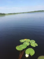 Денскевич Геннадий