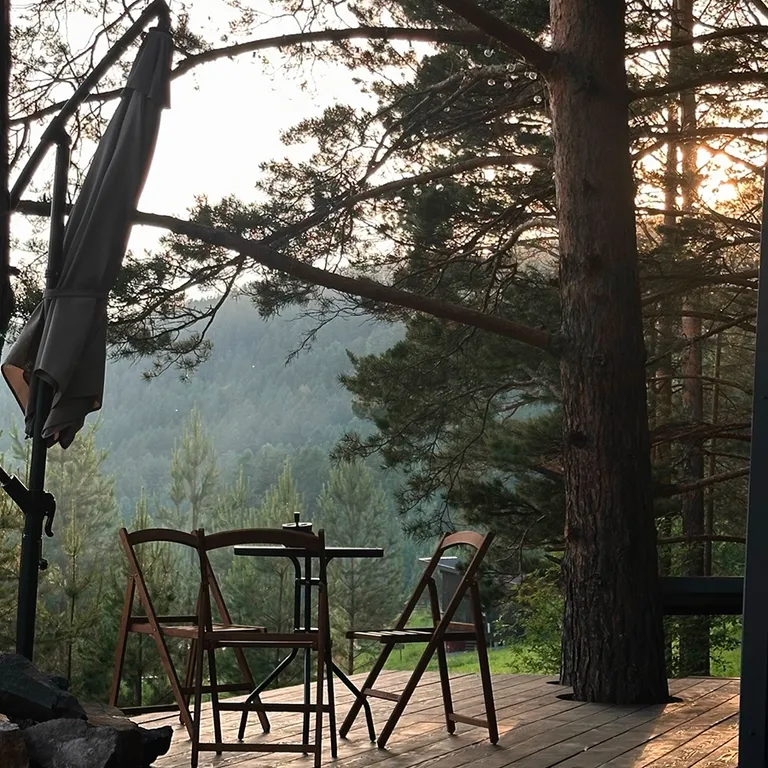 Дом с купелью и камином