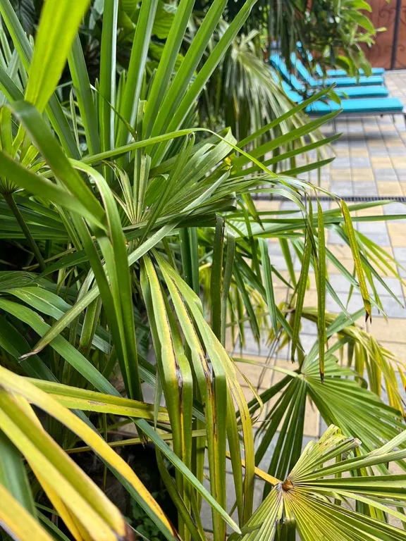 Апартаменты с видом на море в центре