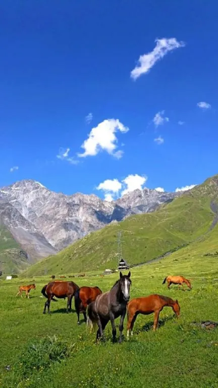 4-комнатный Дом